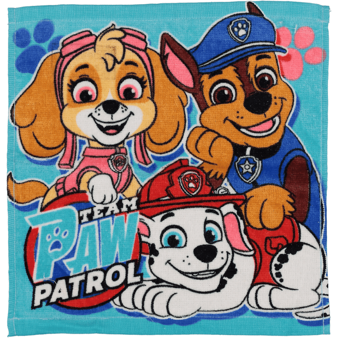 Face Cloth Paw Patrol