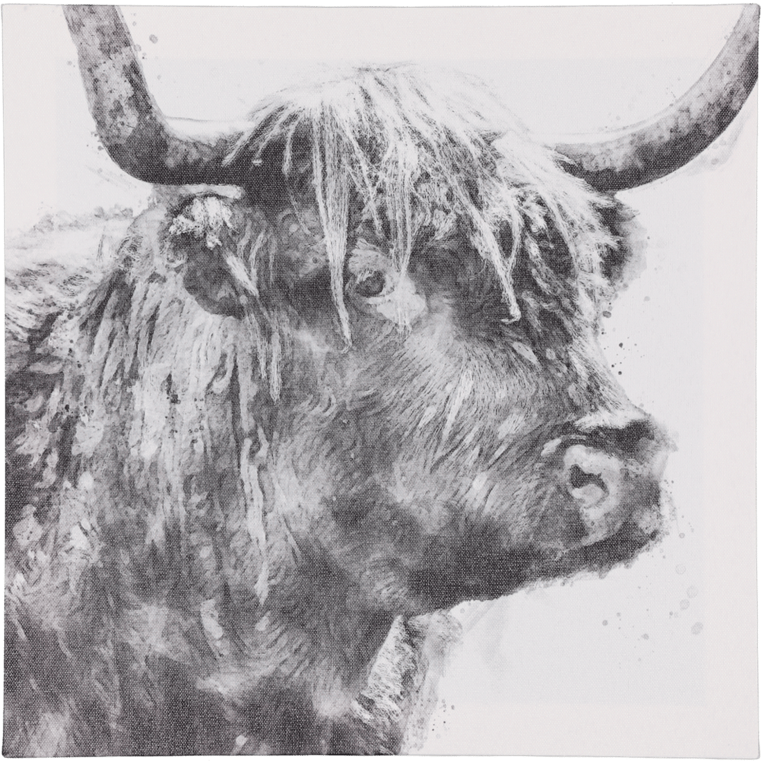 Bison Print Canvas