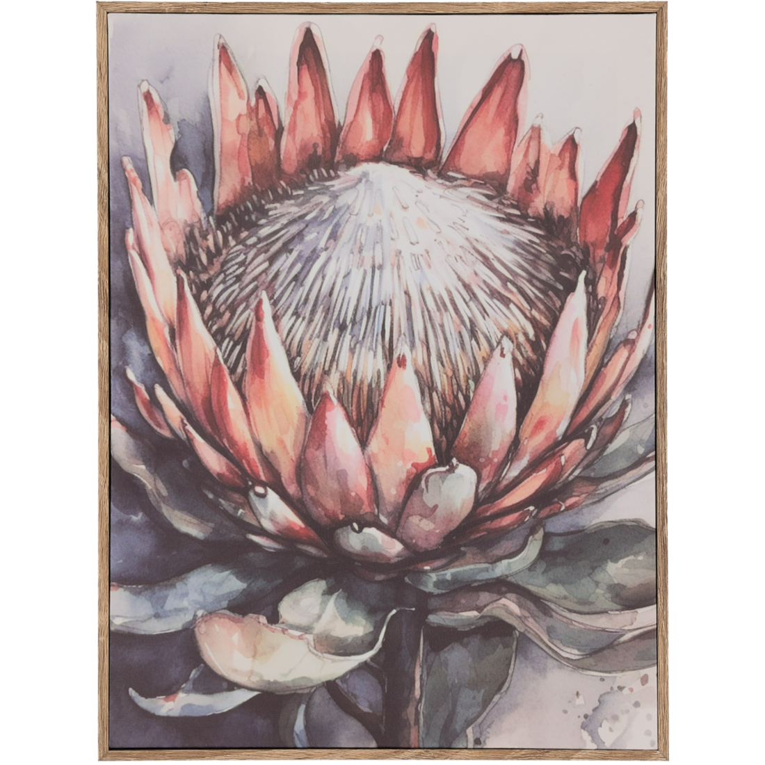 Protea Framed