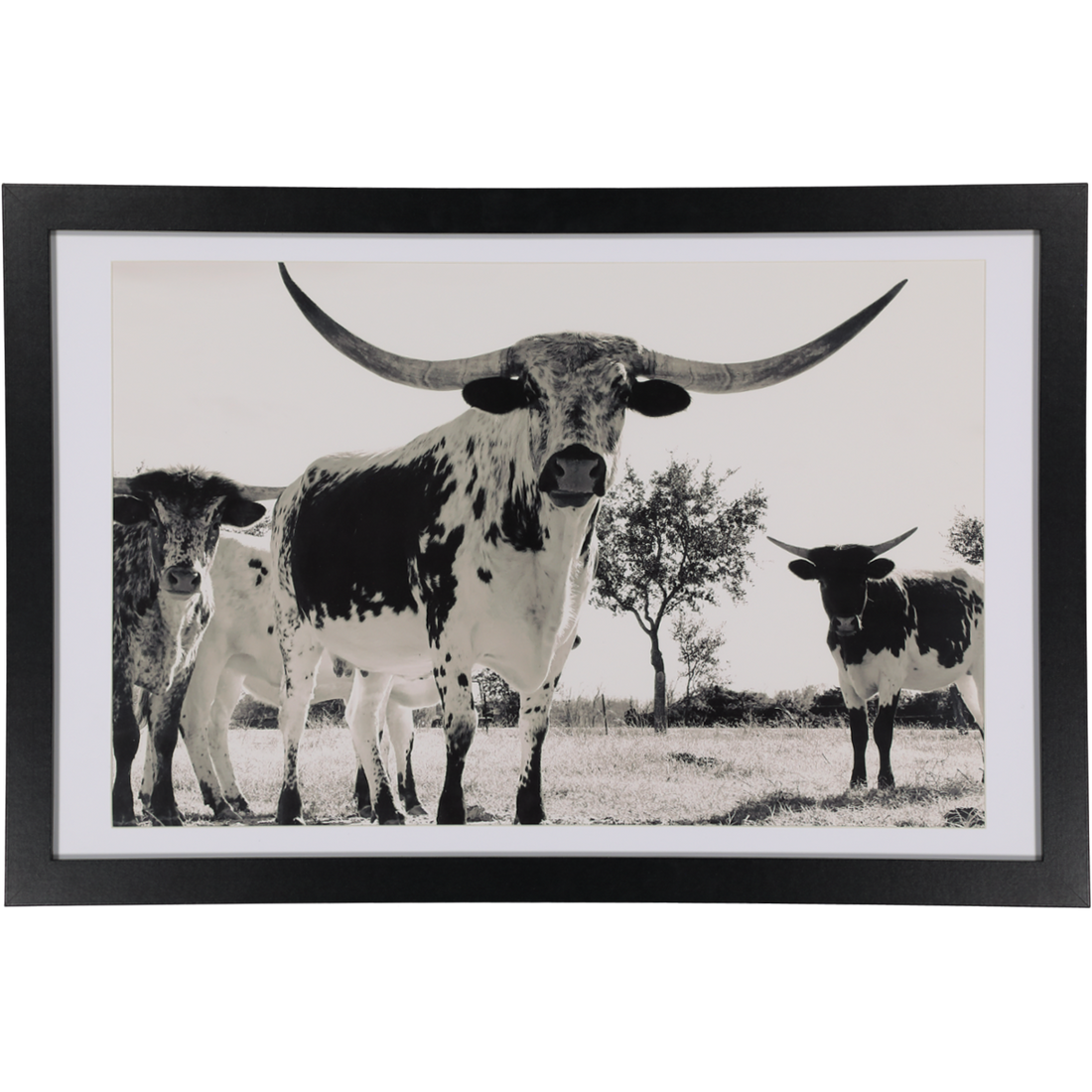 Framed Picture Nguni