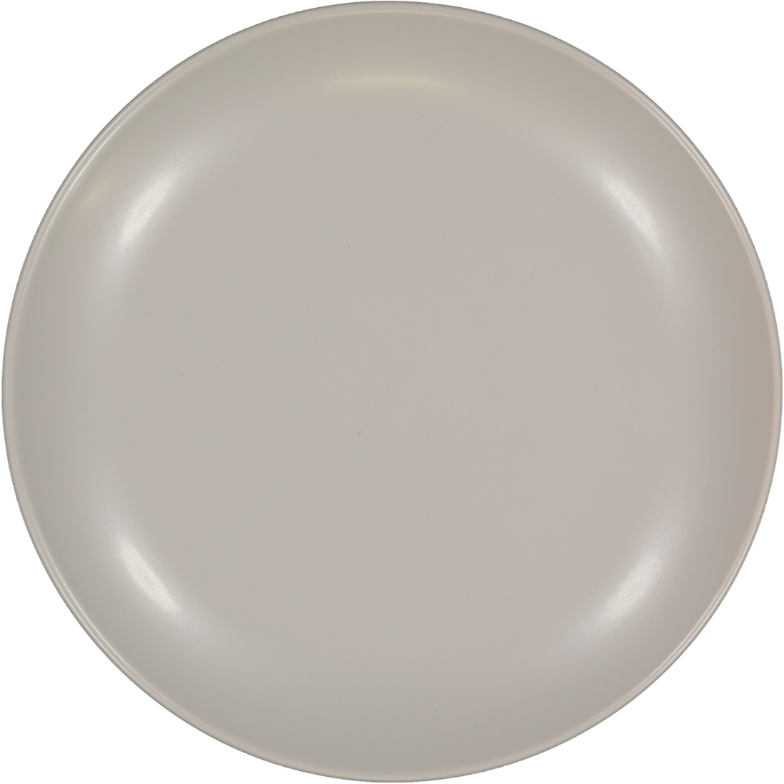 Stoneware Dinner Plates