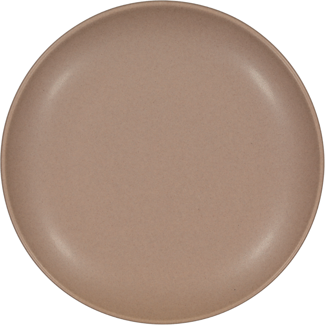 Stoneware Dinner Plates