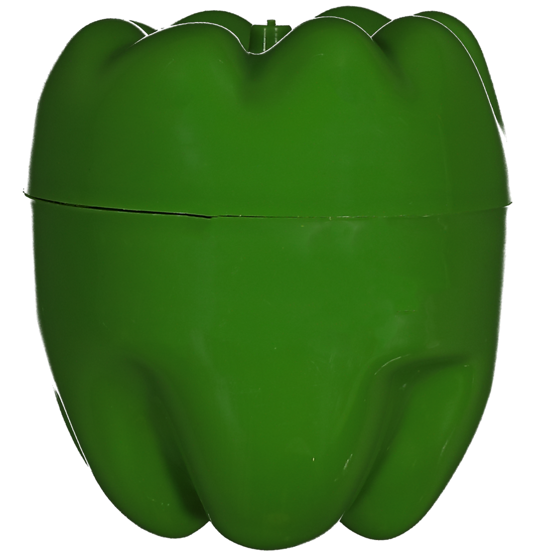 Green Pepper Keeper