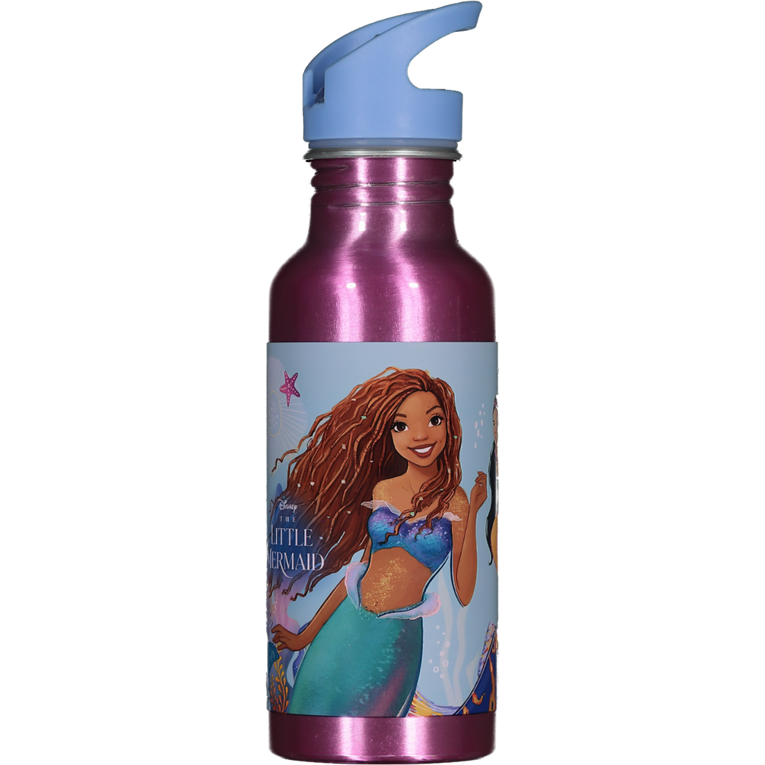 Ariel Aluminium Bottle