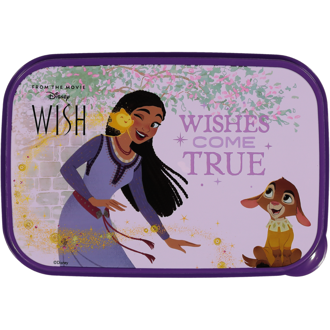 Wish Lunch Box