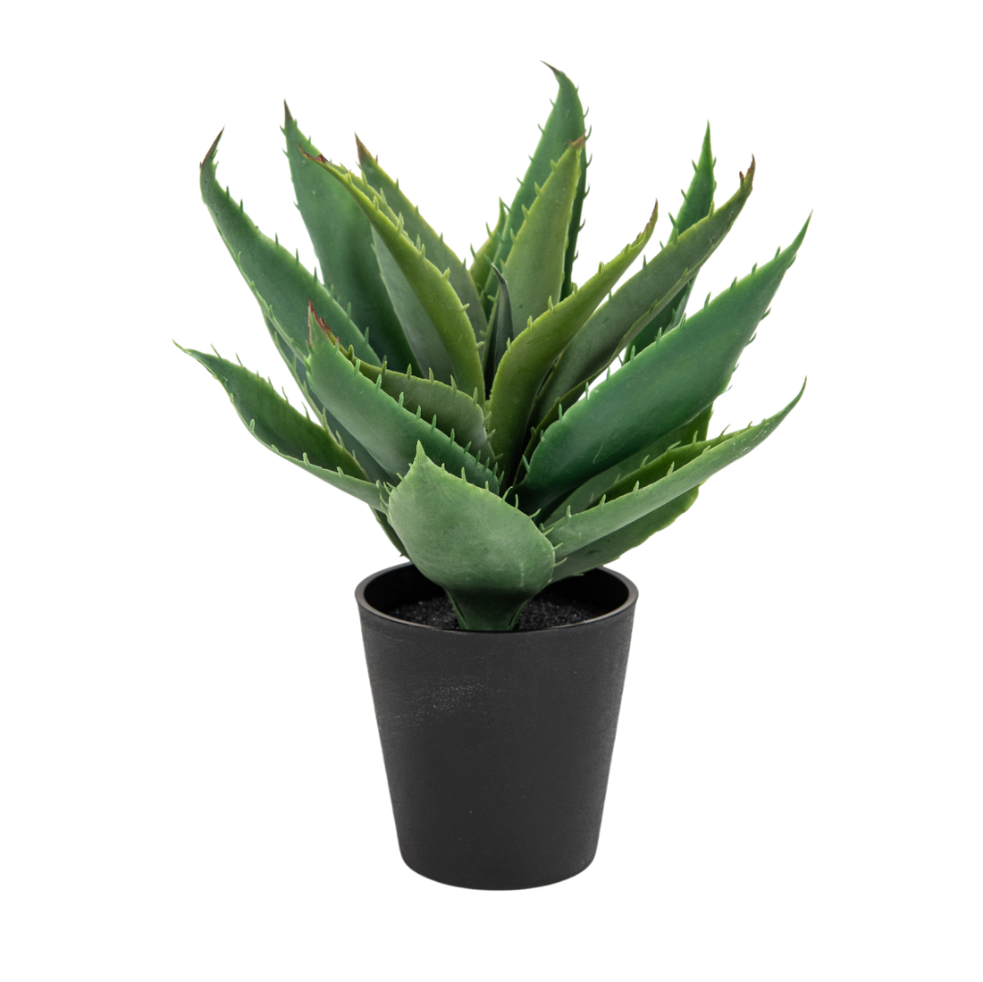 Faux Plant Succulent