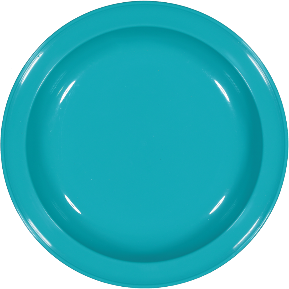 Plastic Plate