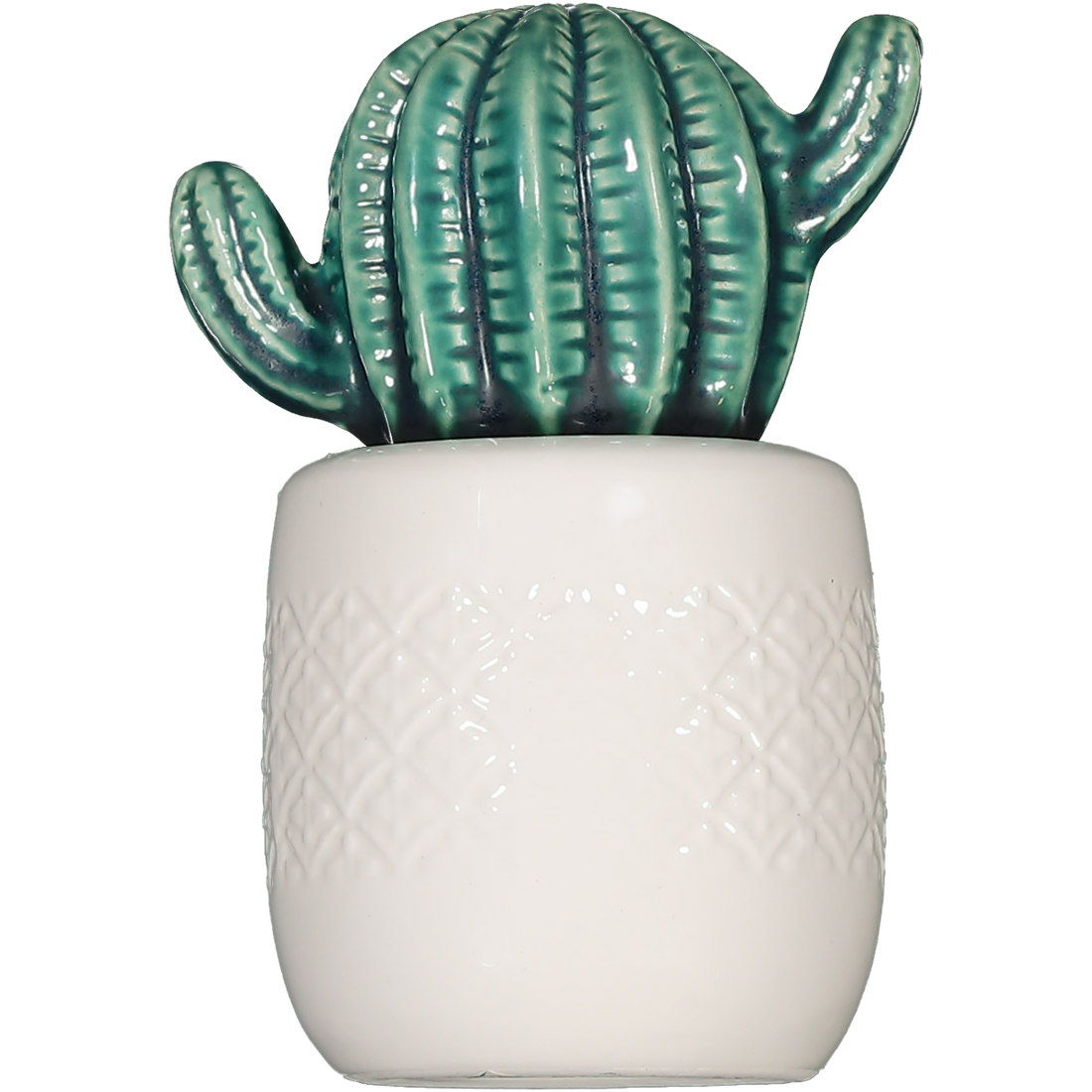 Ceramic Succulent Ornament