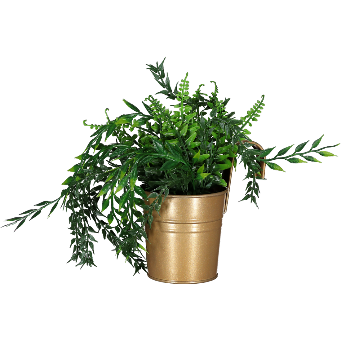 Foliage Plant In Gold Hook Bucket