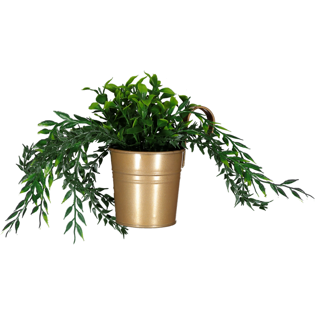 Foliage Plant In Gold Hook Bucket