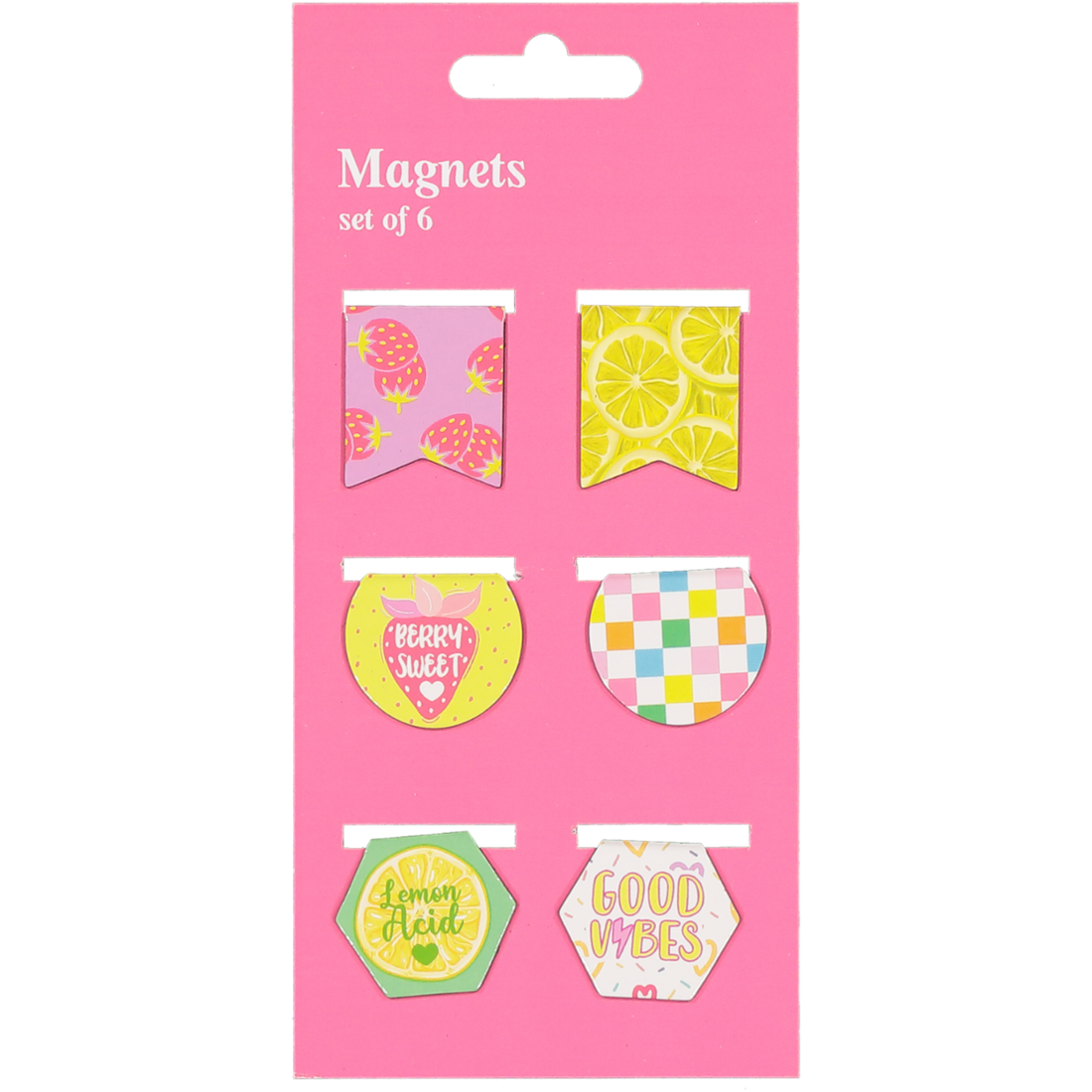 6-Piece Magnet Bookmark Set