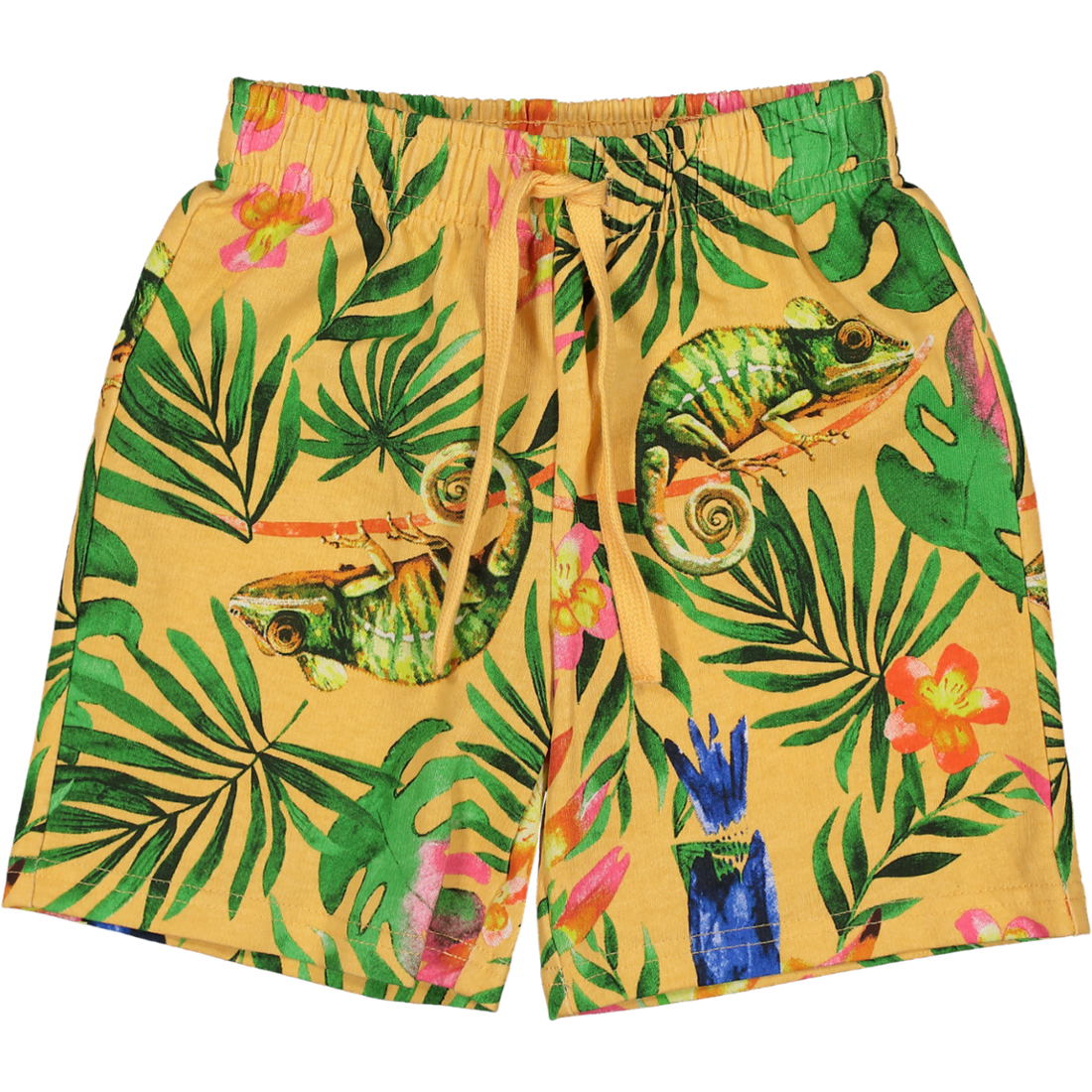 Resort Shorts